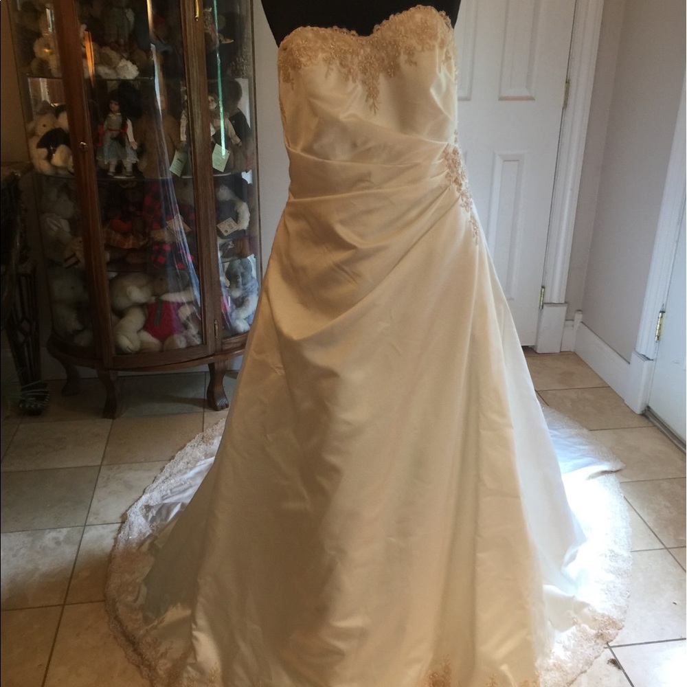 David’s Bridal Ivory & Champagne with lace and sequins 16w